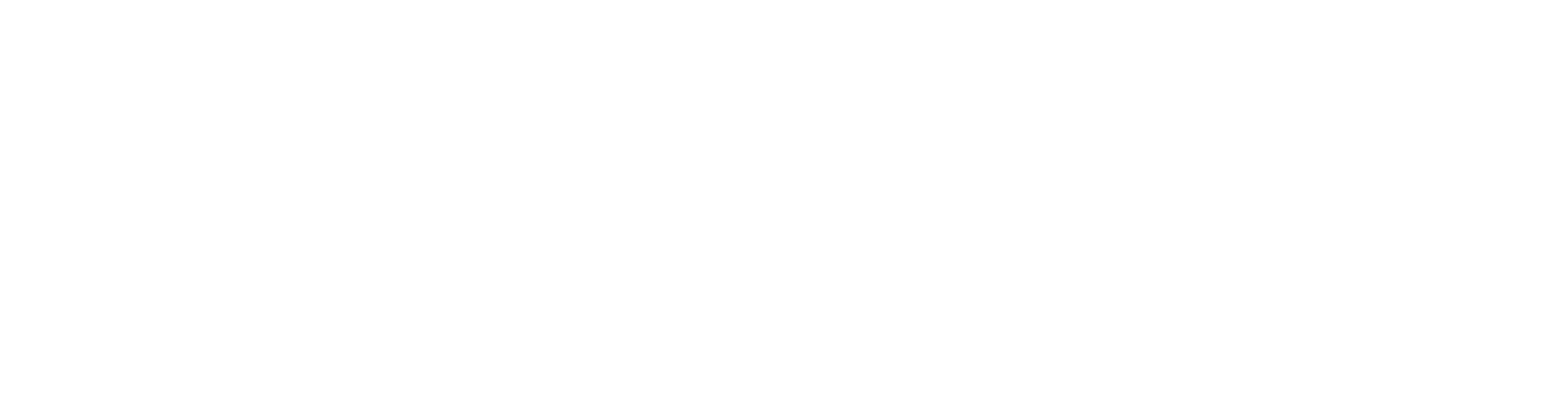 KPI Partners